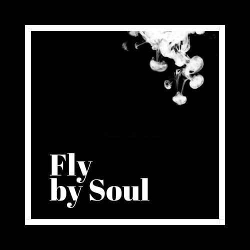 FlyBySoul